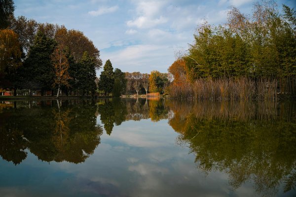 Quali sono i segnali di allerta per la salute mentale negli anziani?