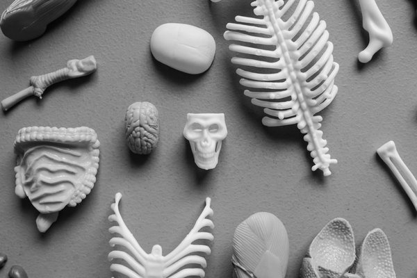 Come la lettura può influenzare la tua crescita personale e la tua empatia?